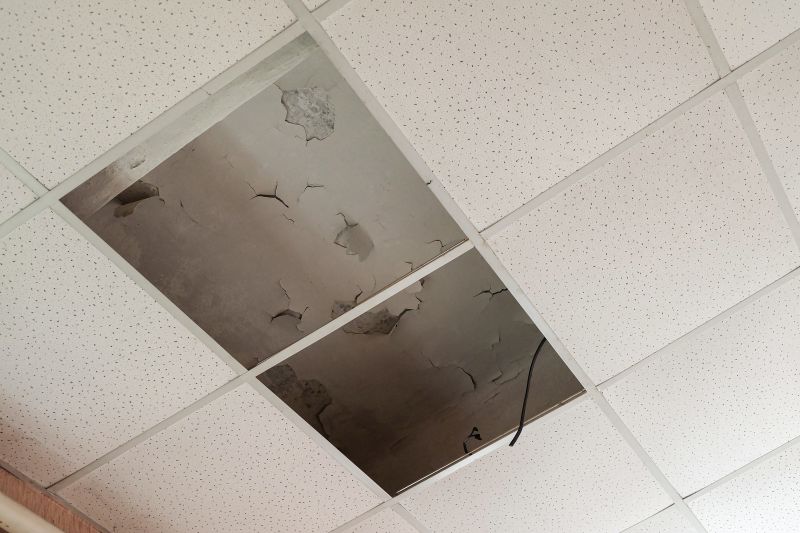 Ceiling Leak Repair Service in Conroe, TX