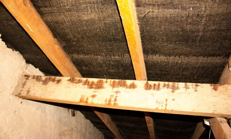 Leaking Ceiling Repair in Denver, CO