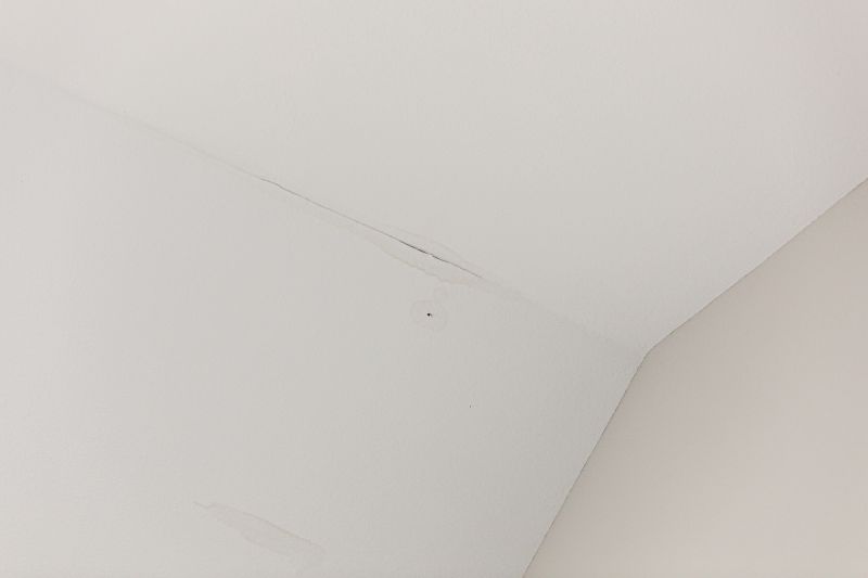 Water Damage Ceiling Repair in Conroe, TX